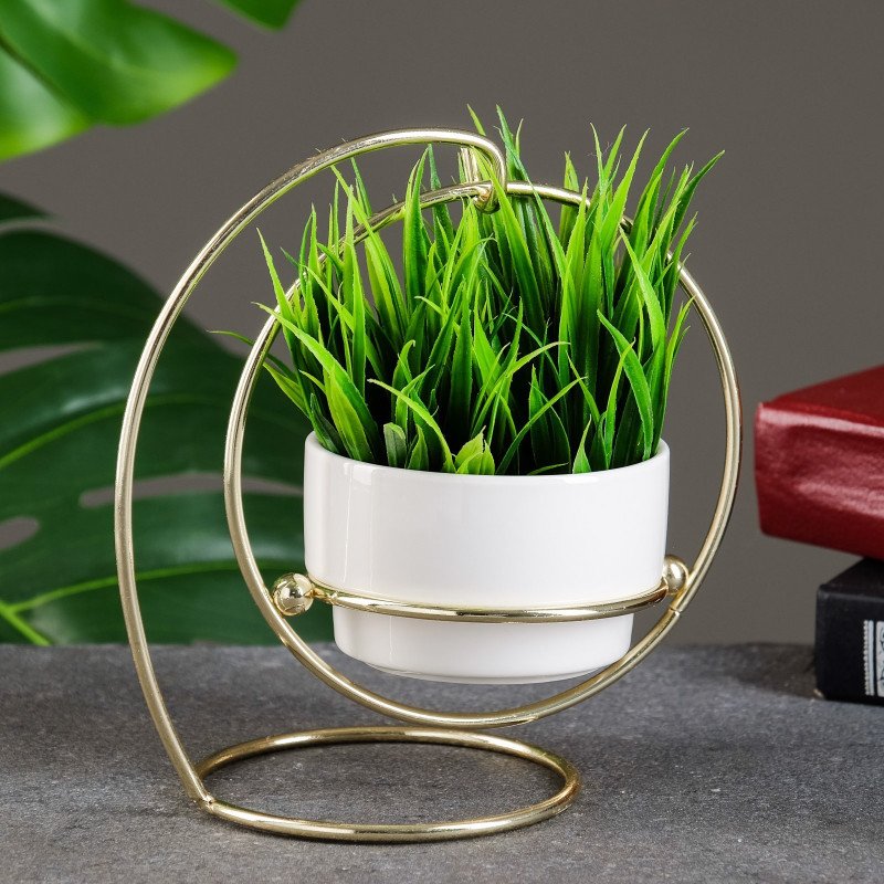 Modern Metal Ring Tabletop Planter with White Pot | Decorative Indoor Plant Holder for Desk & Home Décor