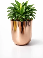 Modern Rose Gold Metal Planter Pot | Decorative Indoor Flower Pot for Home & Office Décor